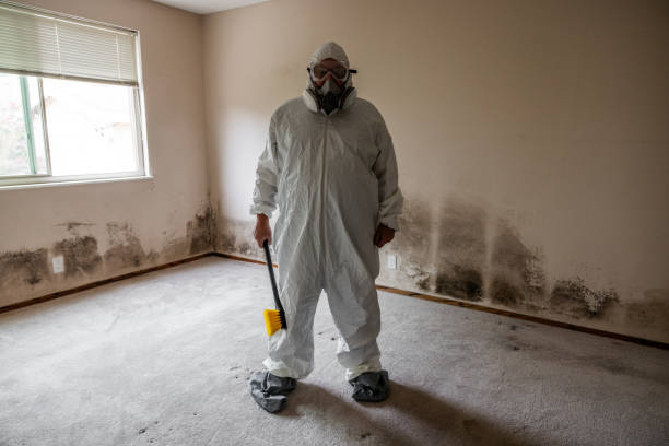 Best HVAC Mold Remediation in Lorena, TX